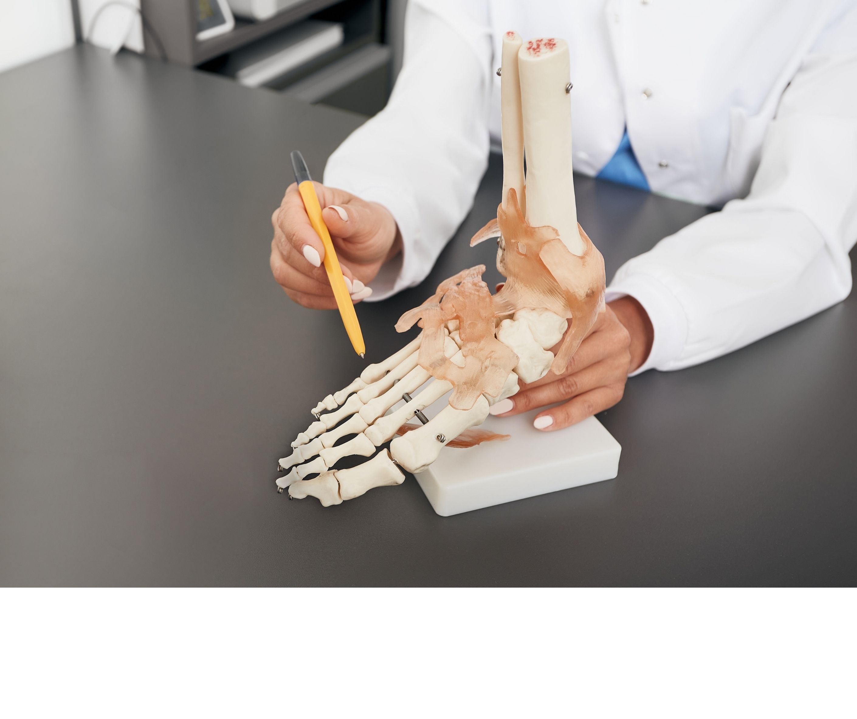 Podiatre qui pointe une structure anatomique sur un modèle de pied