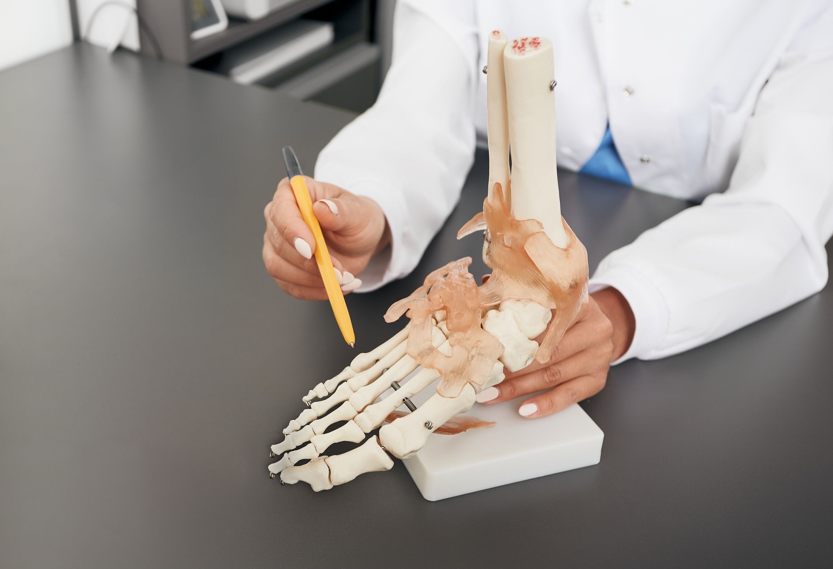 Podiatre qui pointe un modèle anatomique d'un pied avec un crayon